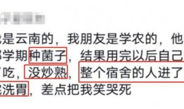 幽默吃瓜先生小说免费阅读,笑料横生的奇幻食界之旅